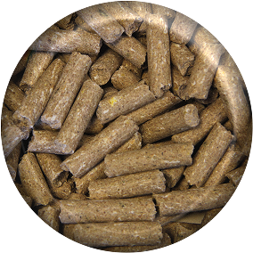 Granule